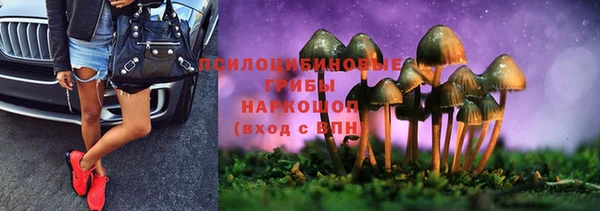 молекула духа Алзамай