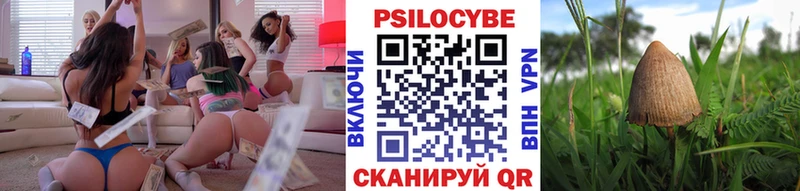 Псилоцибиновые грибы Cubensis  Бокситогорск 